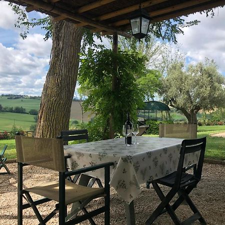 Vigna Sant' Amico Country House Morro dʼAlba Exterior foto