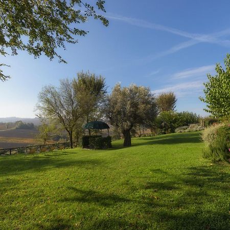Vigna Sant' Amico Country House Morro dʼAlba Exterior foto