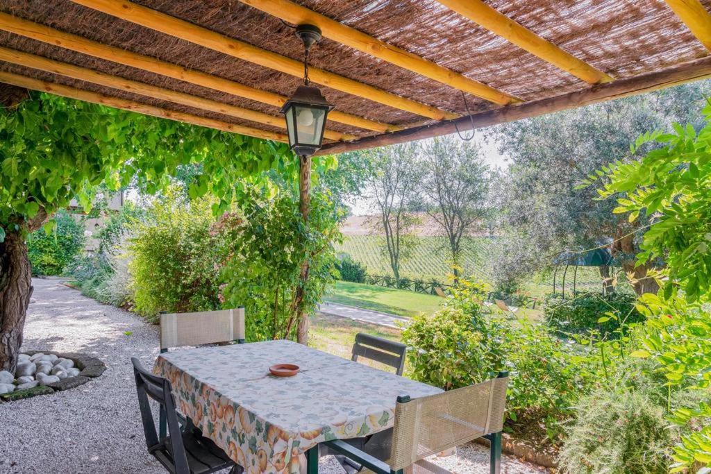Vigna Sant' Amico Country House Morro dʼAlba Exterior foto