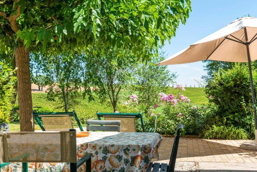 Vigna Sant' Amico Country House Morro dʼAlba Exterior foto