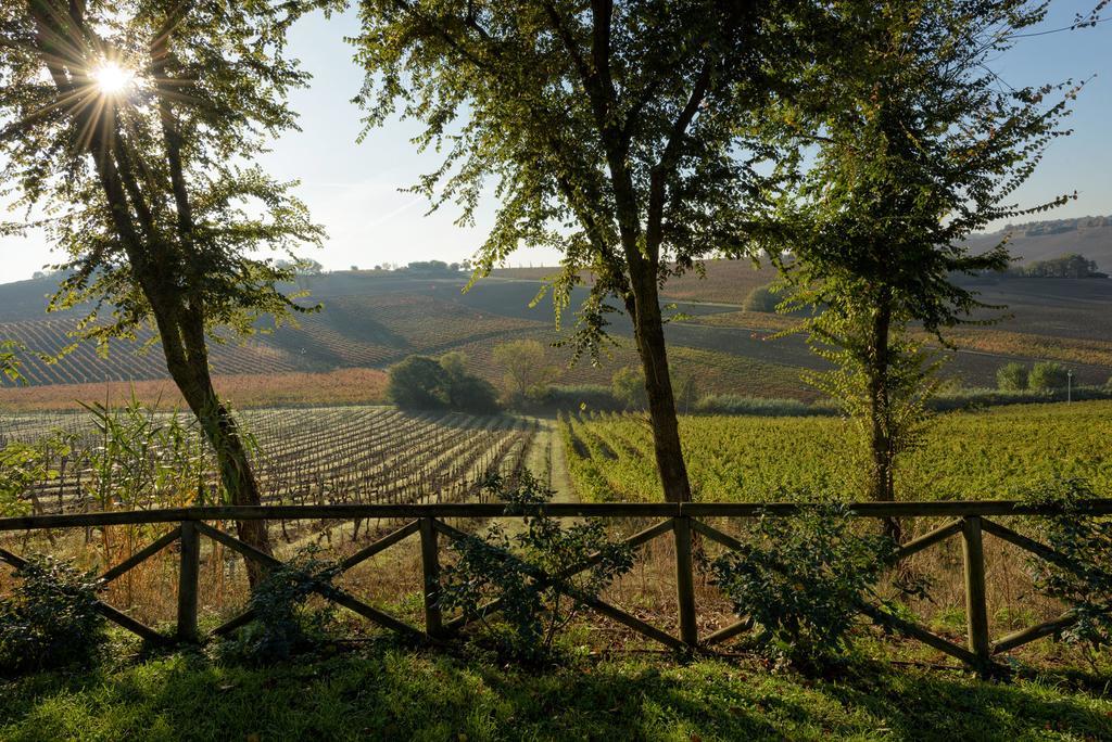 Vigna Sant' Amico Country House Morro dʼAlba Exterior foto
