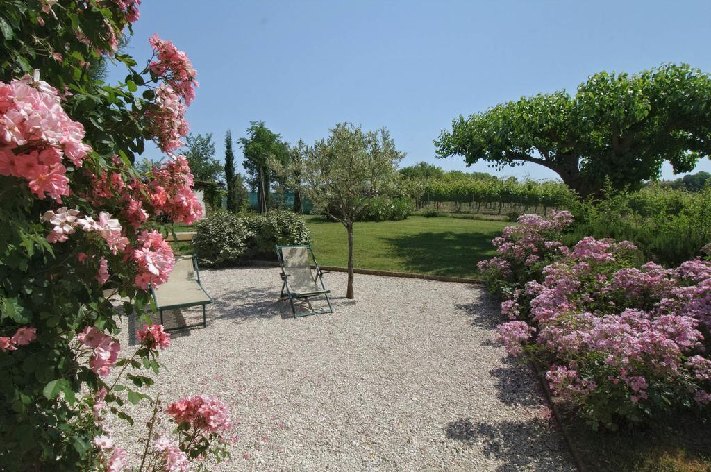 Vigna Sant' Amico Country House Morro dʼAlba Exterior foto