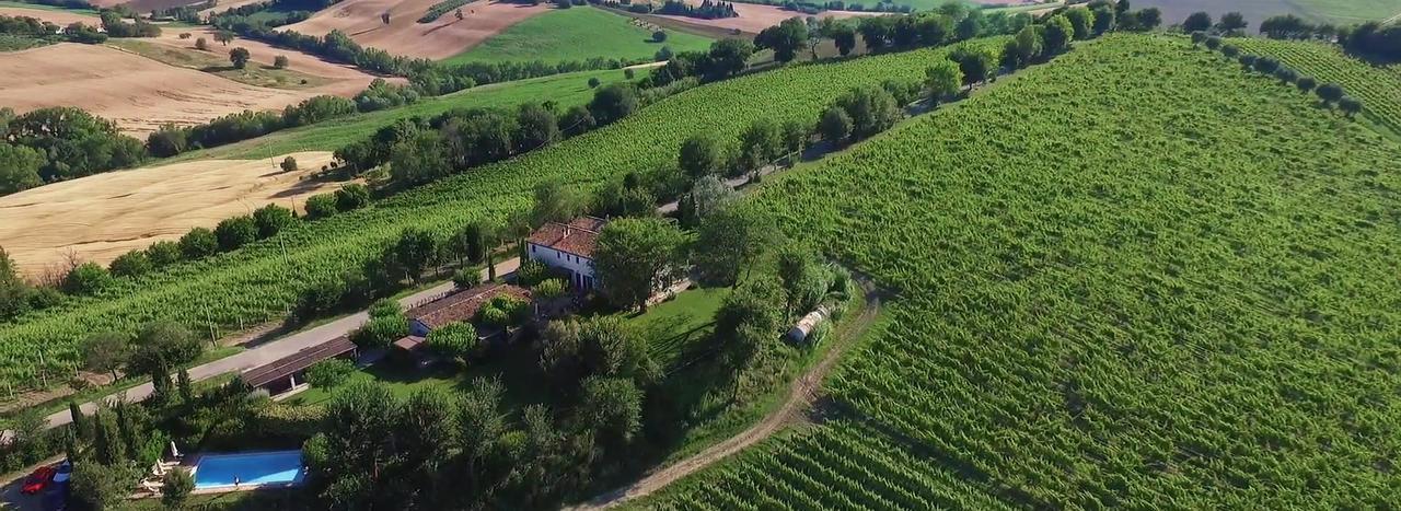 Vigna Sant' Amico Country House Morro dʼAlba Exterior foto